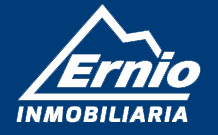 entity logo