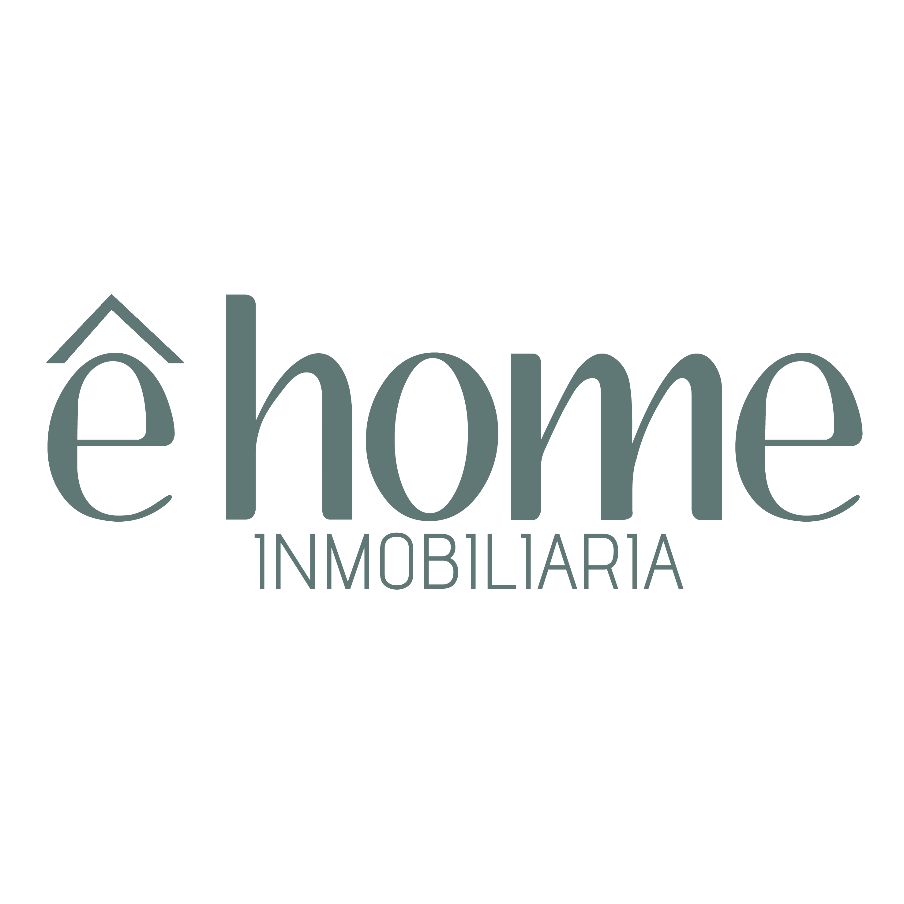 entity logo