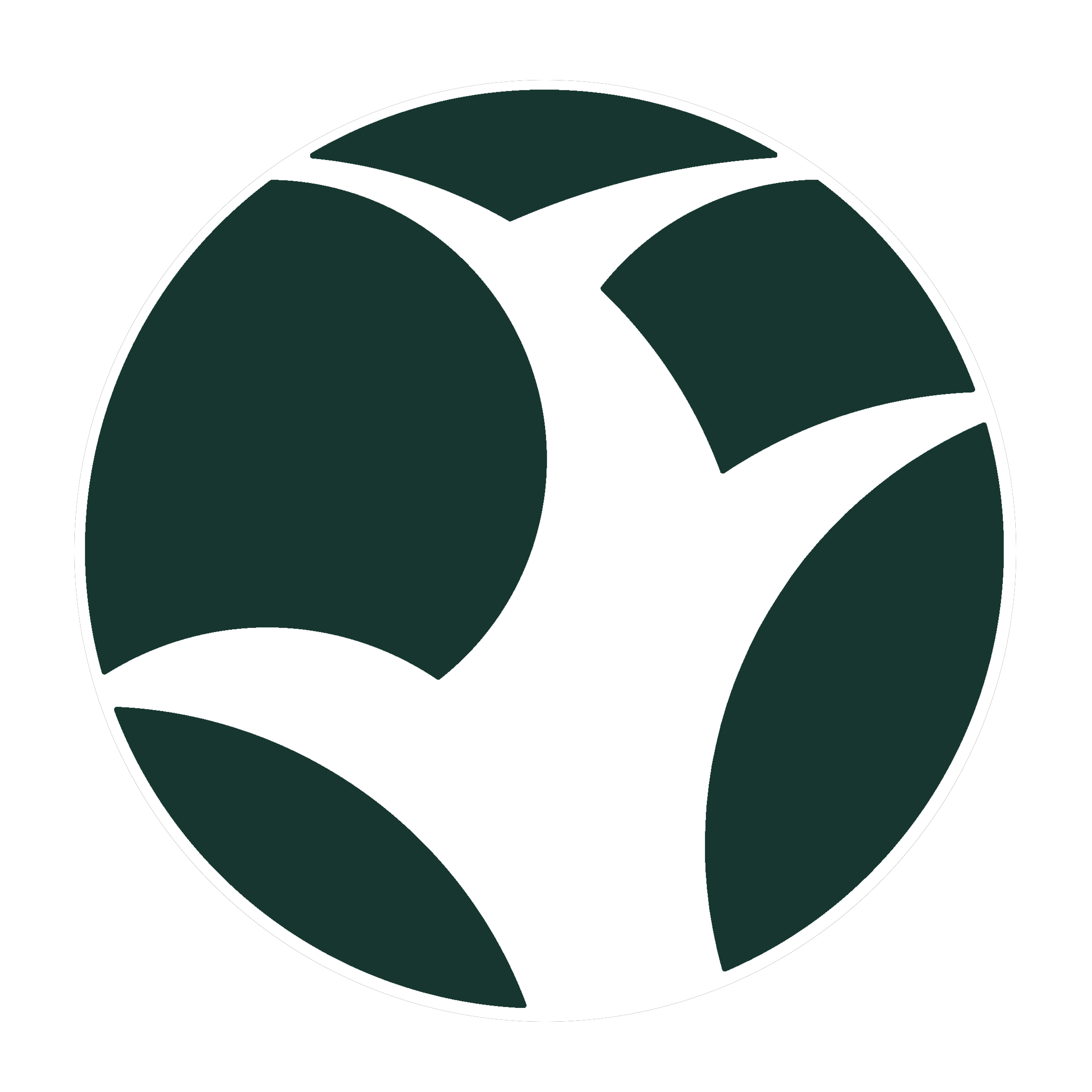 entity logo