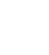 entity logo