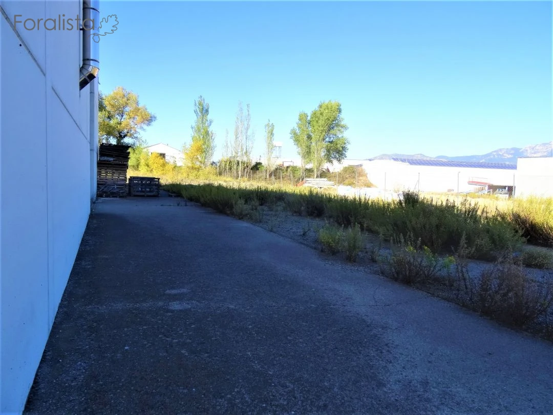 2549dsc08101.webp