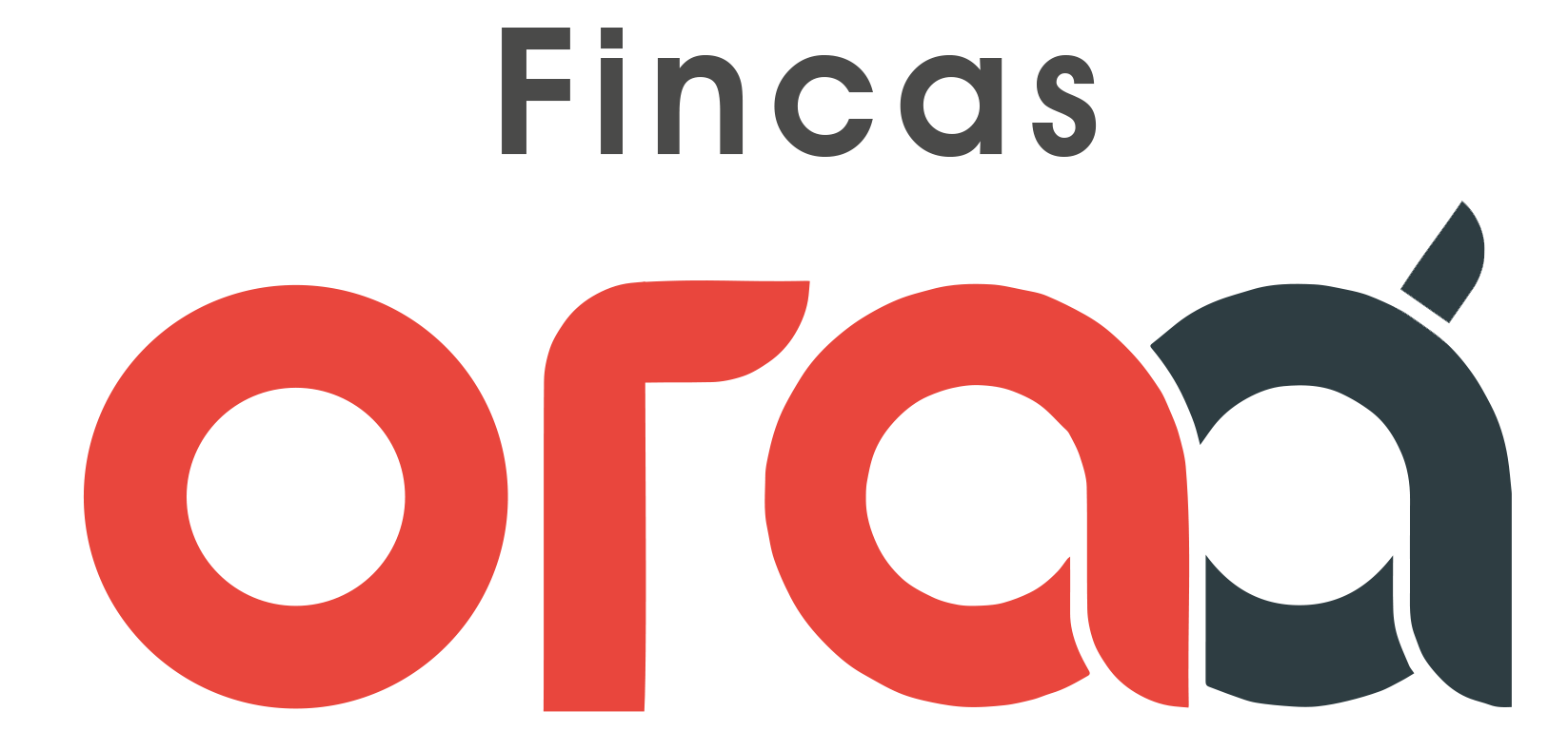 entity logo