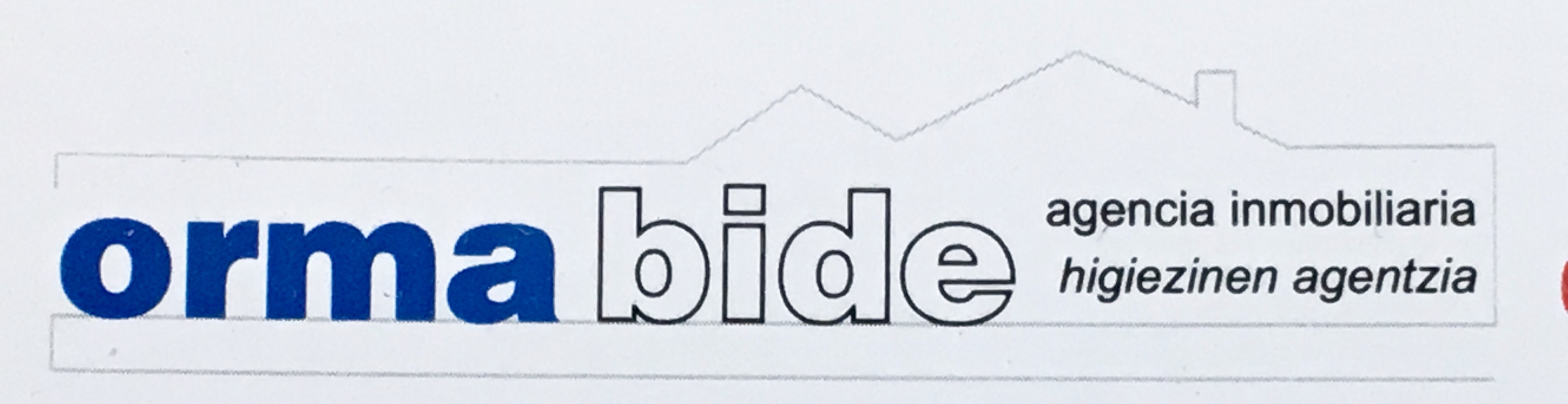 entity logo
